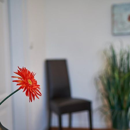 Apartament Casa Pinos FDH Zewnętrze zdjęcie