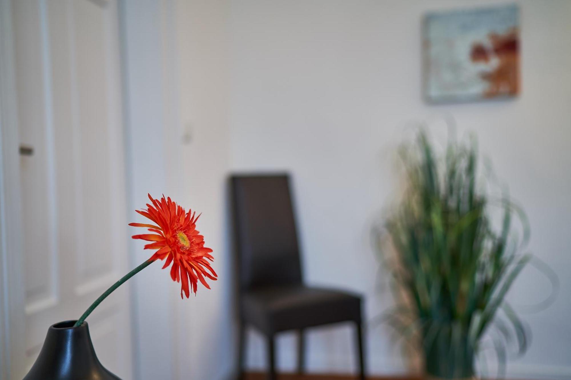 Apartament Casa Pinos FDH Zewnętrze zdjęcie